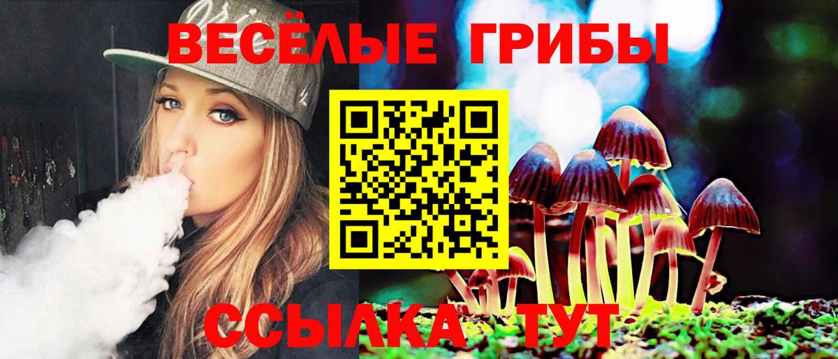 Псилоцибиновые грибы Psilocybine cubensis  Вход с VPN  купить закладку  Минусинск  Псилоцибиновые грибы Psilocybe 